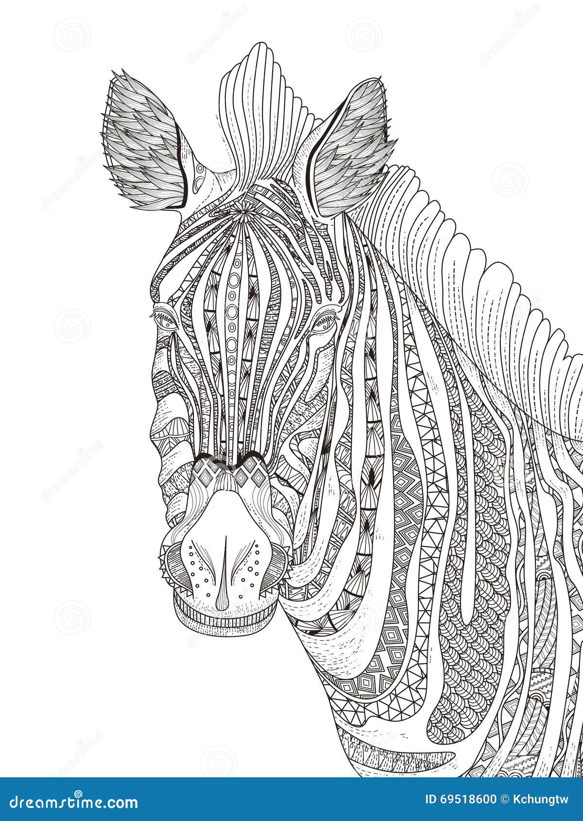 Zebra outline stock illustrations â zebra outline stock illustrations vectors clipart