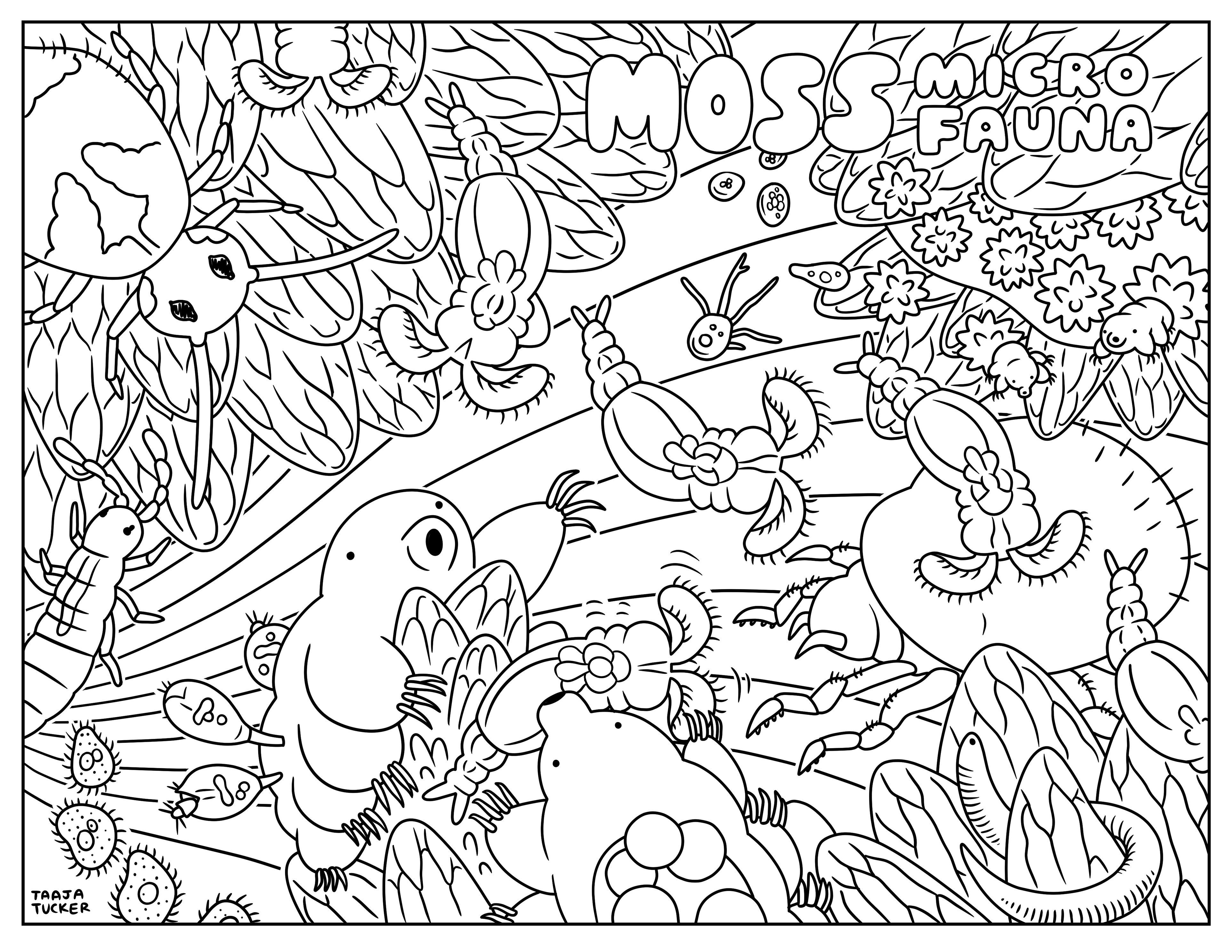Coloring sheets â taaja tucker