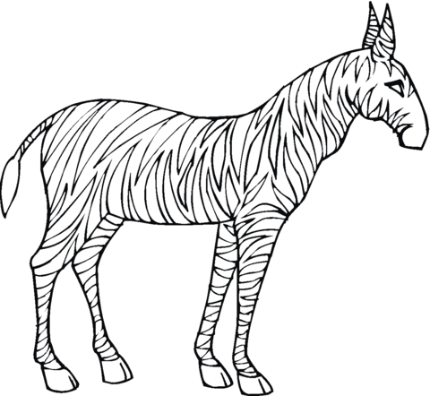 Zebra coloring page free printable coloring pages