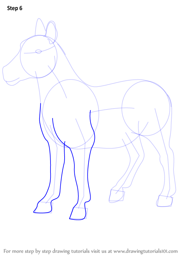 How to draw an quagga other animals step by step