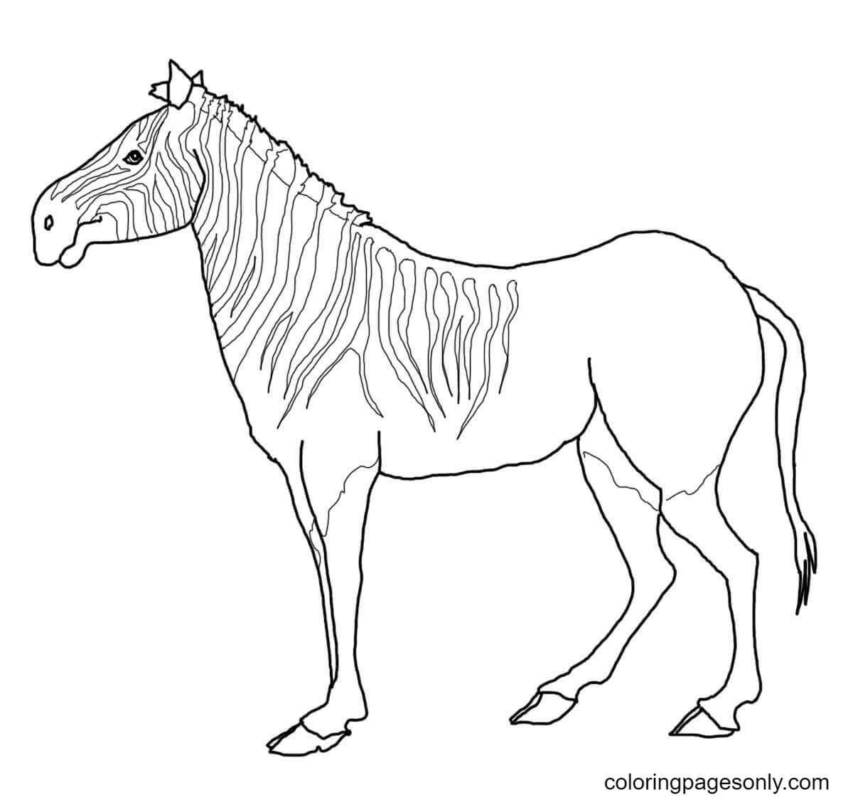 Zebra coloring pages printable for free download