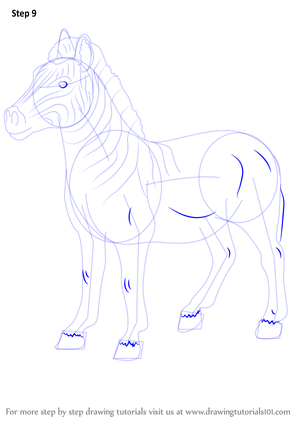 How to draw an quagga other animals step by step