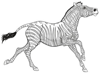 Quagga vector images