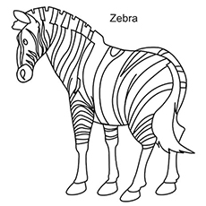 Top free printable zebra coloring pages online