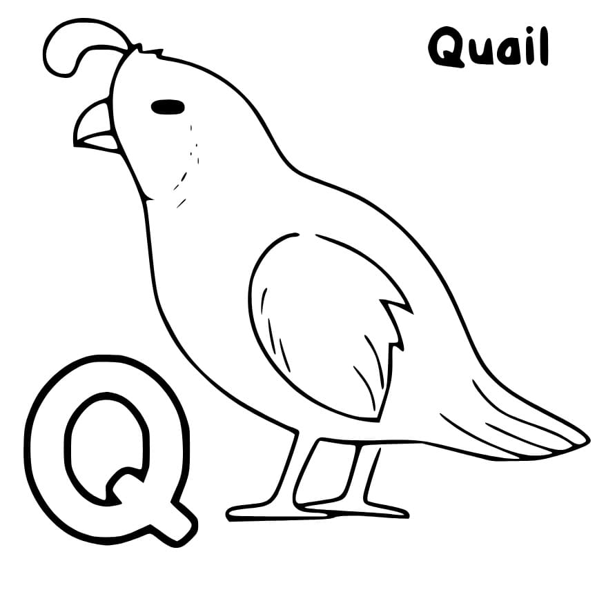 Letter q coloring pages