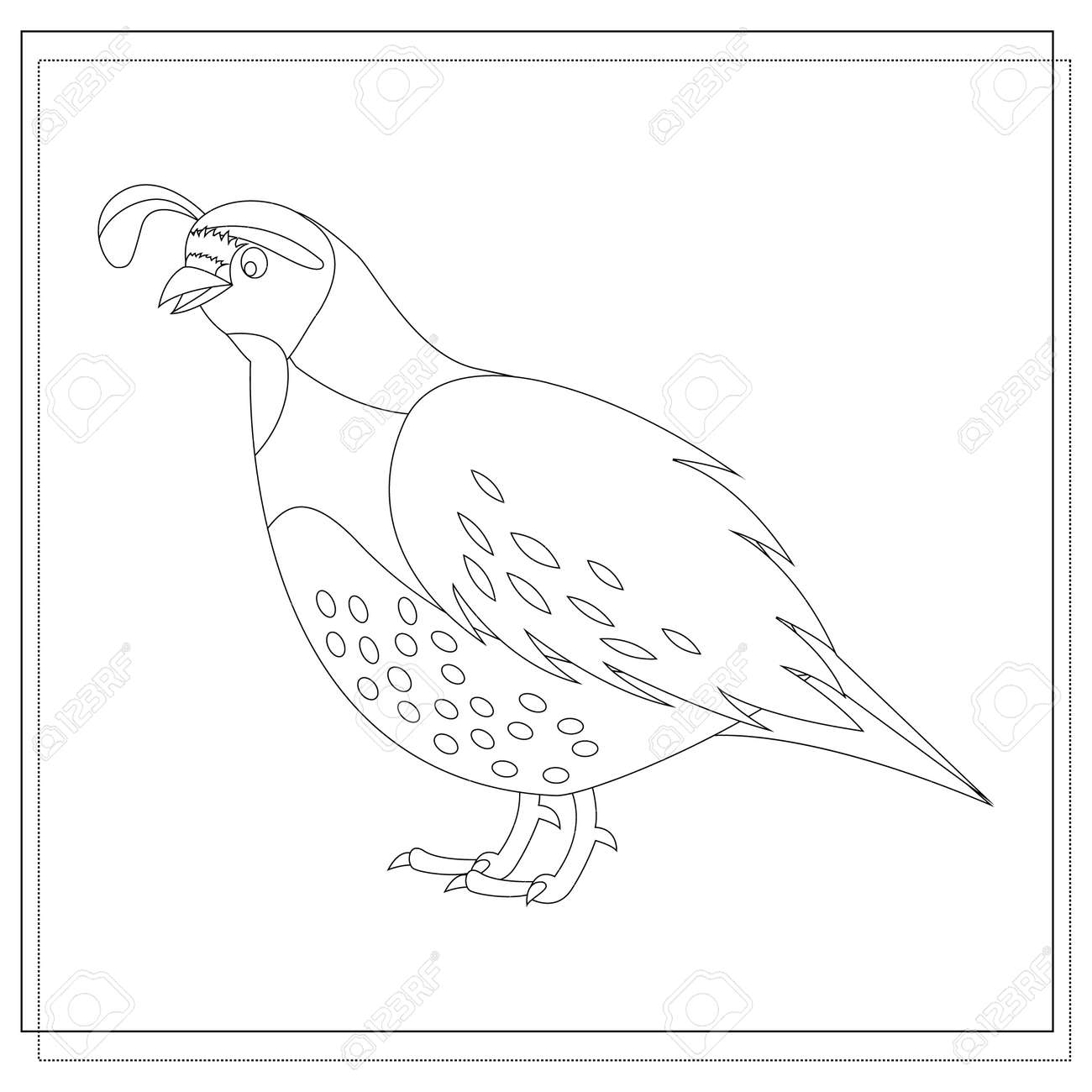 Coloring book for children cartoon quail vector isolated on a white background royalty free svg cliparts vectors and stock illustration image