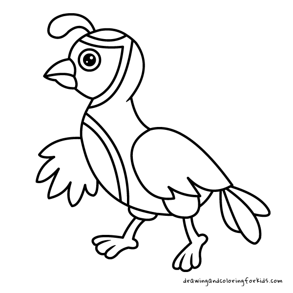 Drawing birds for kids coloring pages birds drawing penguin falcon flamingo turkey