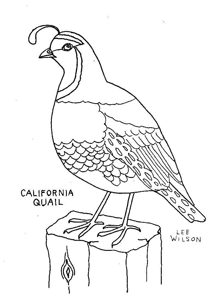 California