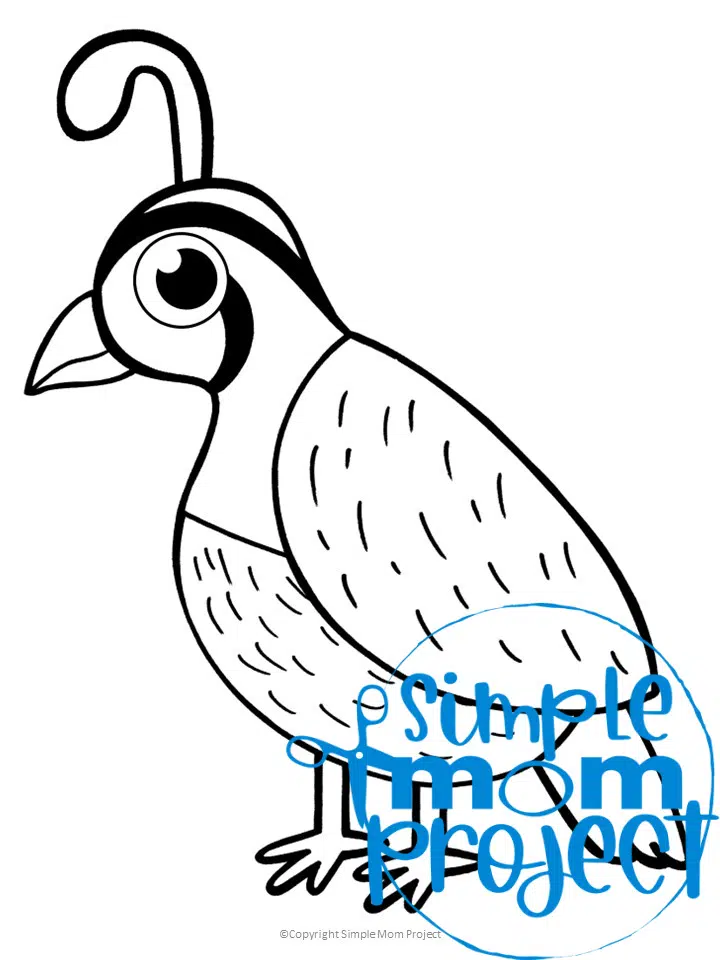 Free printable quail template â simple mom project