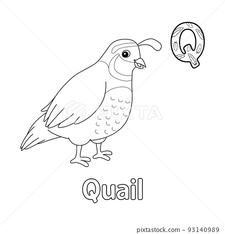 Quail alphabet abc coloring page q