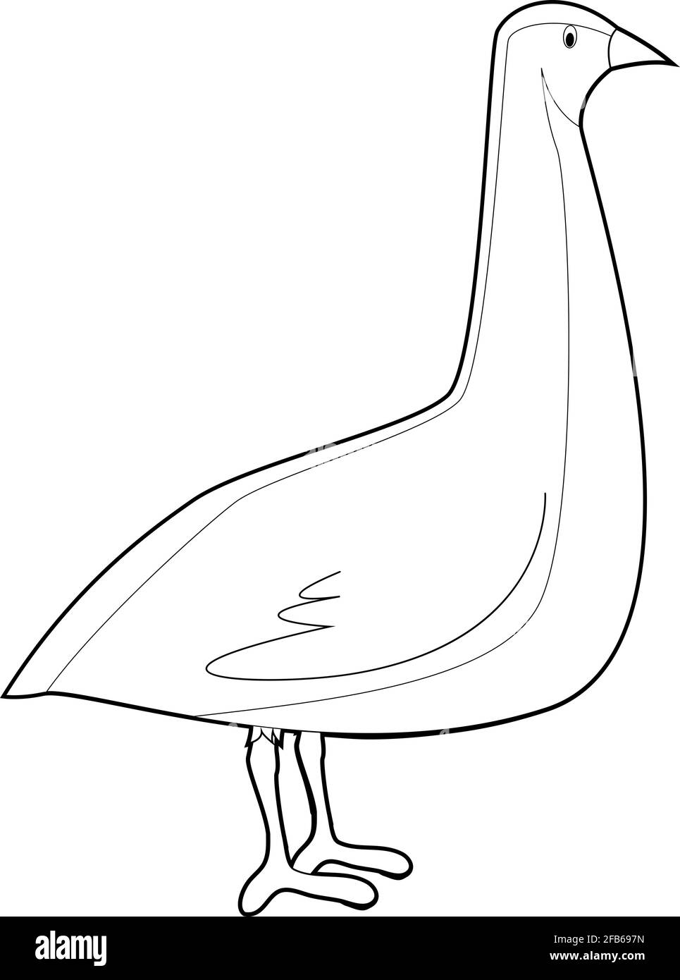Easy coloring drawings of animals for little kids quail stock vector image art