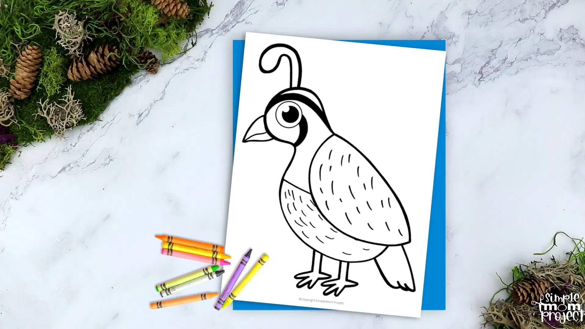 Free printable quail template â simple mom project