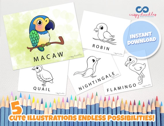 Printable bird coloring pages download cute bird coloring pages pdf bird coloring sheets for kids simple coloring pages for toddlers