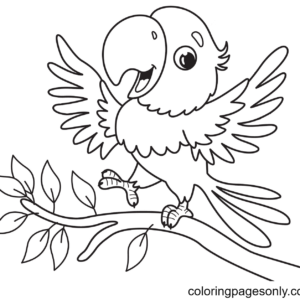 Parrot coloring pages printable for free download