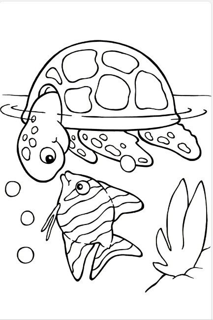 Pez y tortuga turtle coloring pages animal coloring pages coloring pages