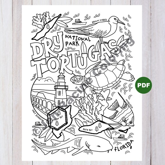 Dry tortugas national park coloring page
