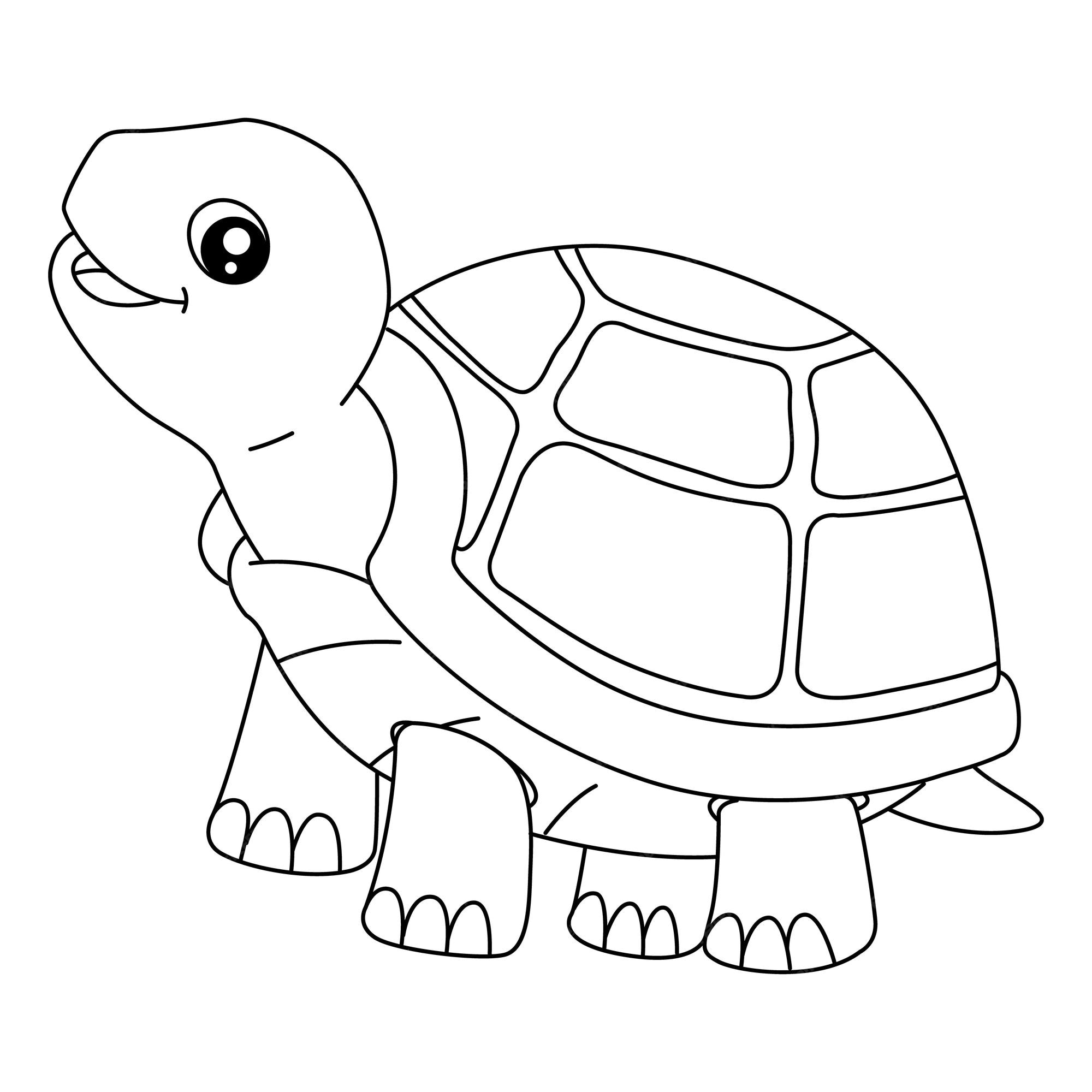Premium vector turtle coloring page isolated for kids