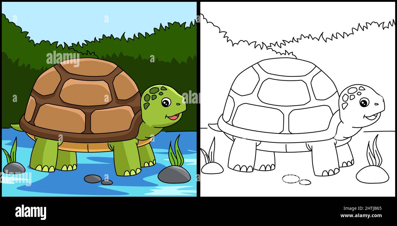 Ilustraciãn coloreada de la pãgina de tortuga imagen vector de stock