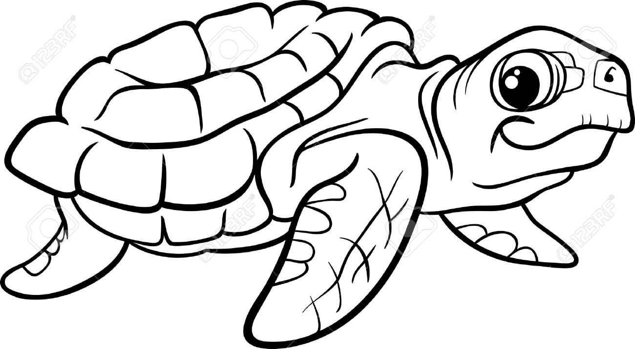 Black and white cartoon illustration of sea turtle reptile animal for coloring book royalty free svg cliparts vectors and stock illustration image