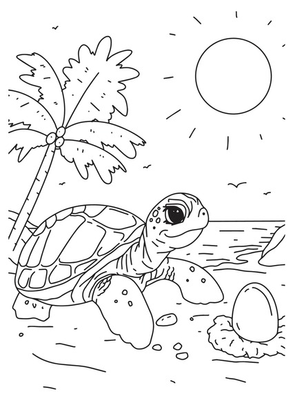 Imãgenes fotos de stock objetos en d y vectores sobre colorful turtle color
