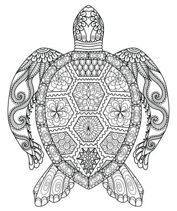 Mandala de tortuga pãgina para colorear
