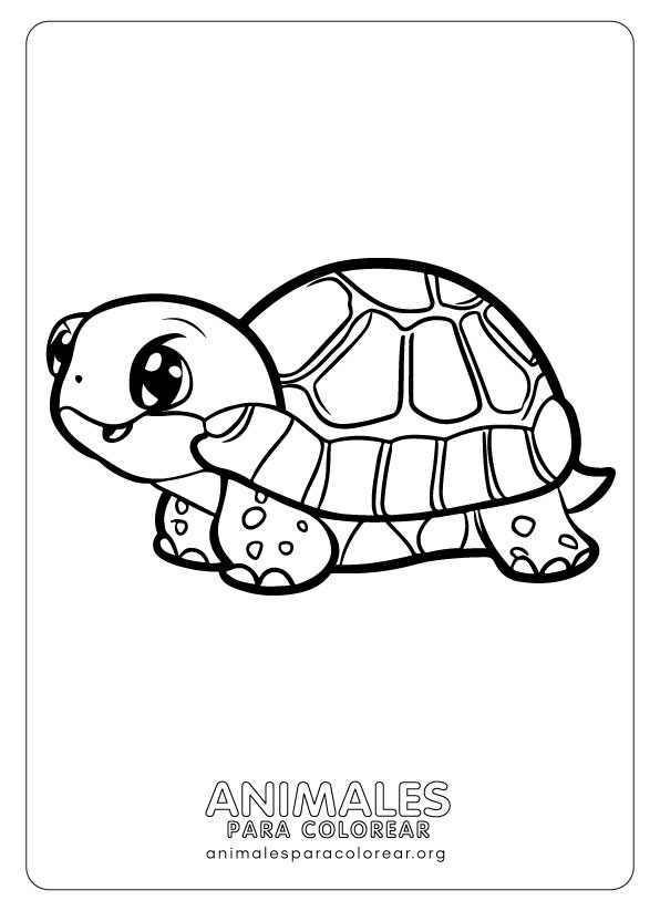 Tortugas para colorear descargar e imprimir gratis
