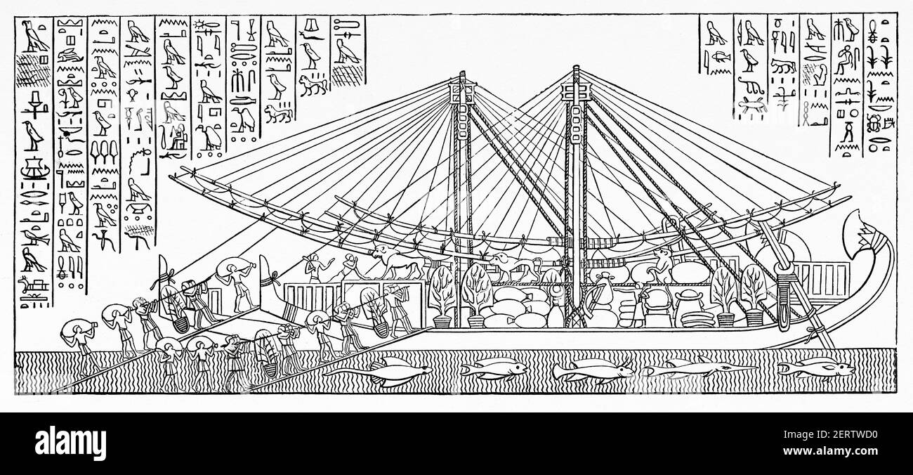 Hatshepsut punt hi