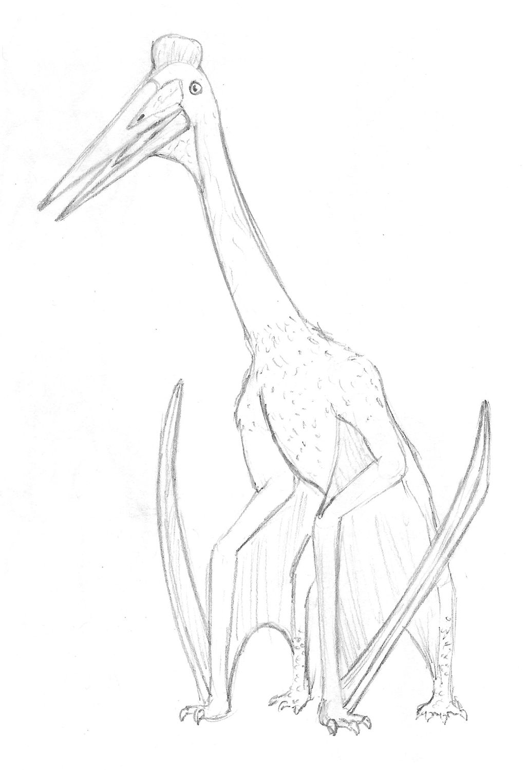 Quetzalcoatlus by evilsillyputty on