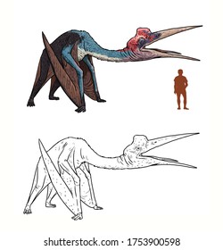 Prehistoric pterosaur quetzalcoatlus pared human parison stock illustration