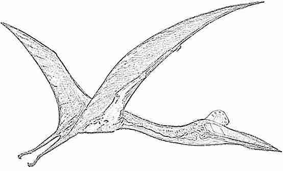 Quetzalcoatus coloring pages dinosaurs pictures and facts