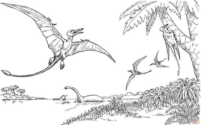 Quetzalcoatlus dinosaur coloring page dinosaur coloring pages dinosaur coloring dinosaur coloring sheets