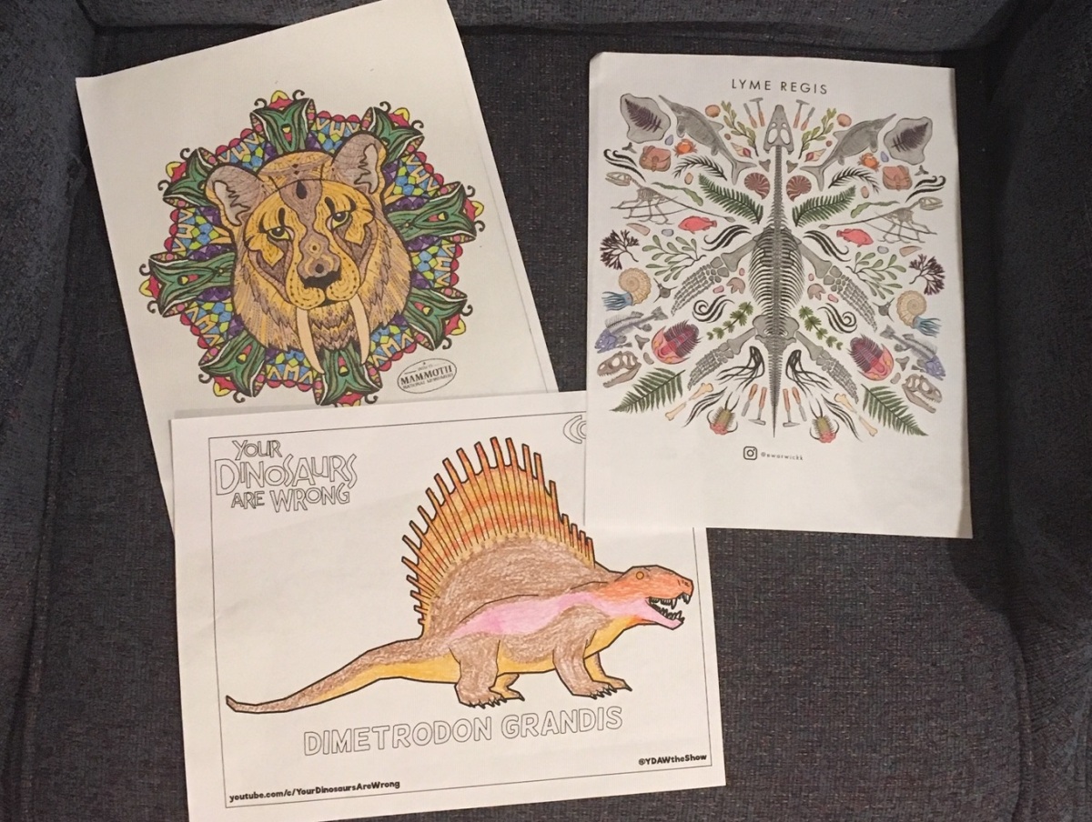 More dinosaur coloring pages â dino dad reviews