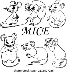 Quiet mouse over royalty