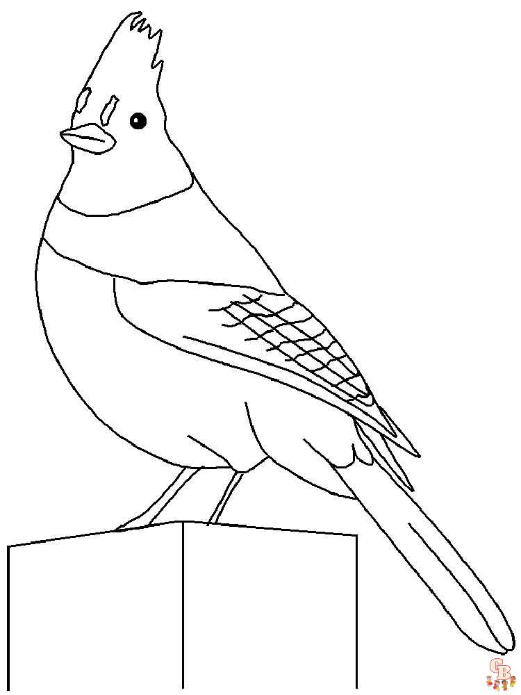 Blue jay coloring pages printable free for kids