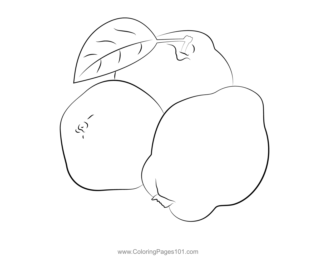 Quince group coloring page for kids