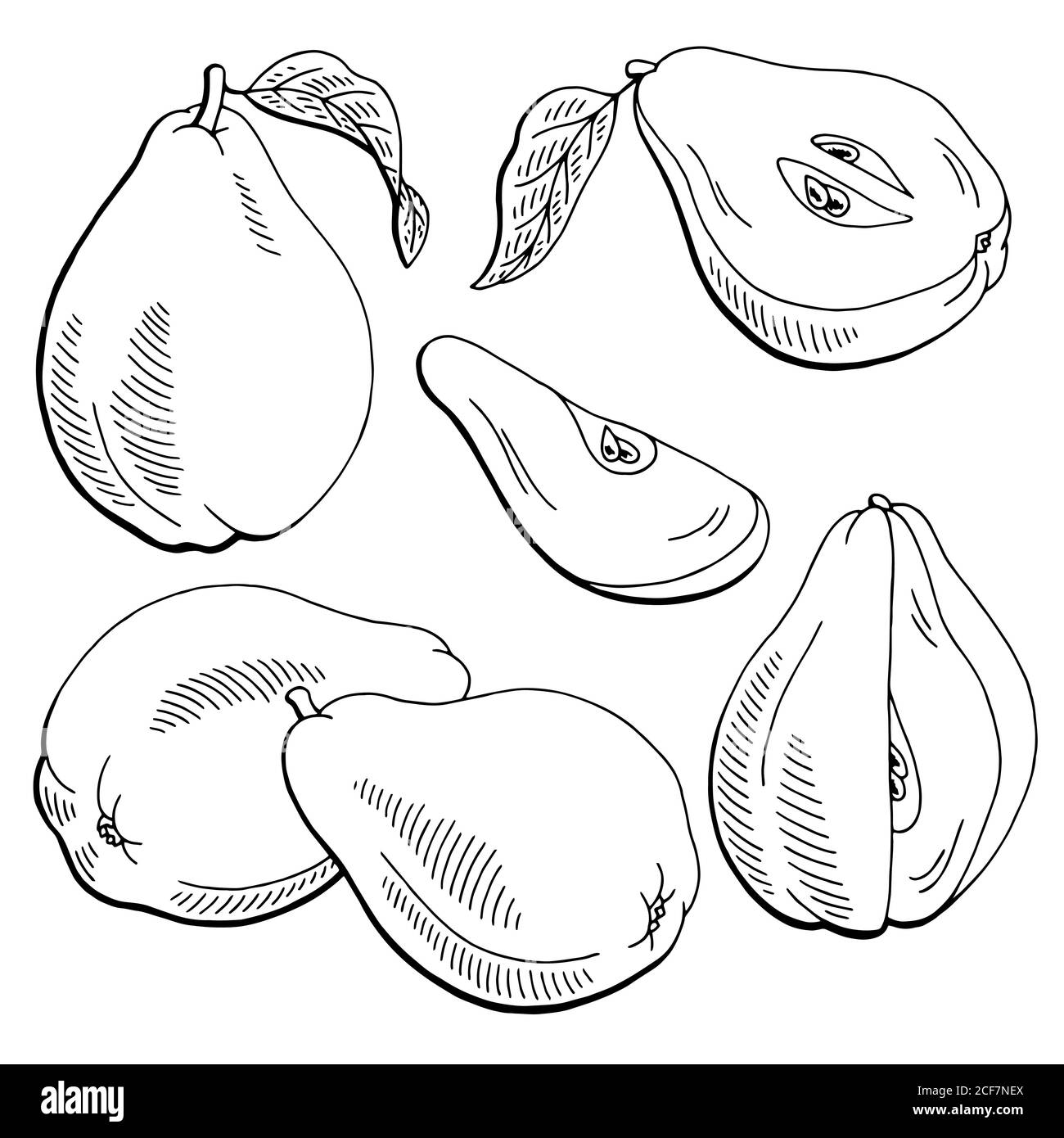 Quince quince black and white stock photos images