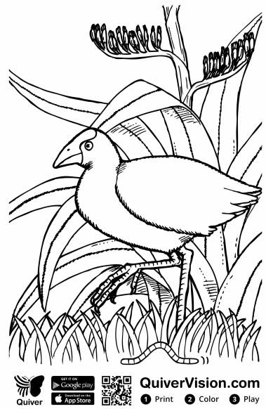 Quiver ar coloring pages