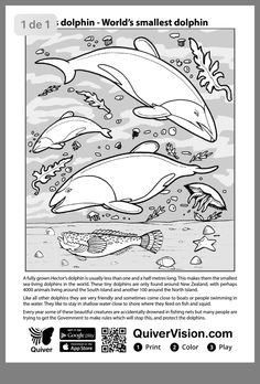 Quiver ideas quiver augmented reality coloring pages