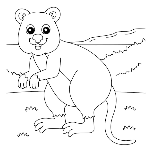 Premium vector quokka animal coloring page for kids