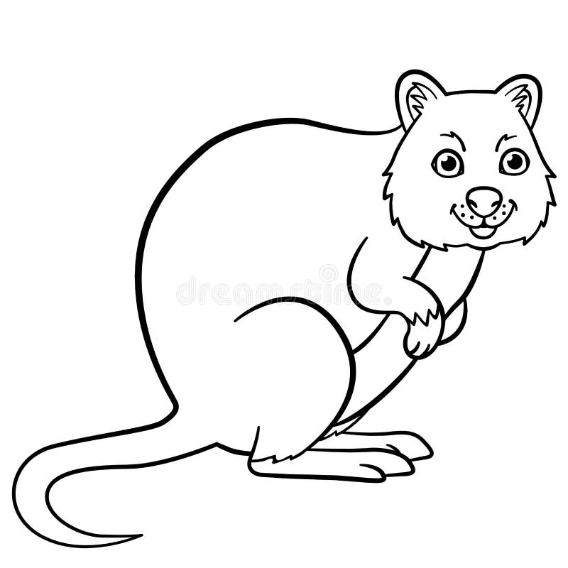 Coloring pages little cute quokka smiles stock vector