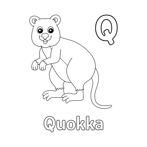 Premium vector quokka alphabet abc coloring page q