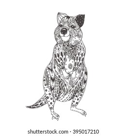 Quokka ethnic floral doodle pattern coloring stock vector royalty free