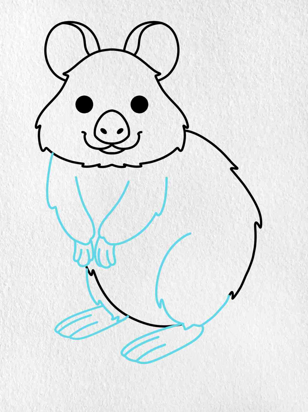 How to draw a quokka