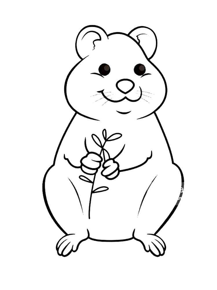 Quokka coloring pages