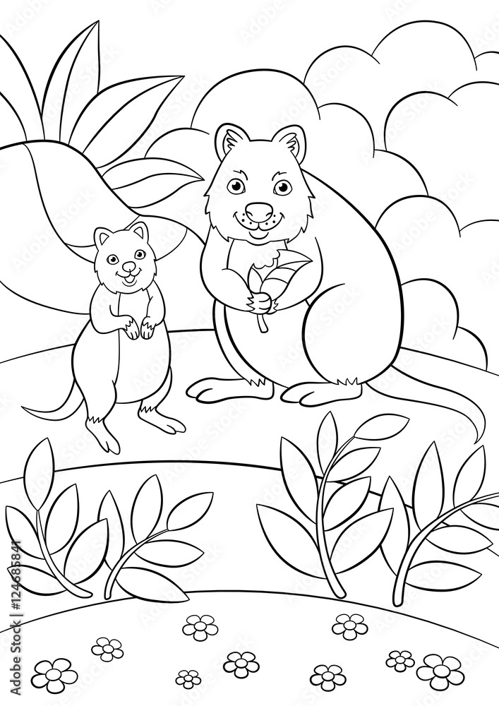 Coloring pages mother quokka with her cute baby vector