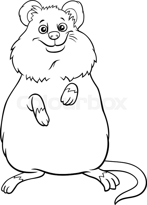 Cartoon quokka ic animal character coloring book page stock vector