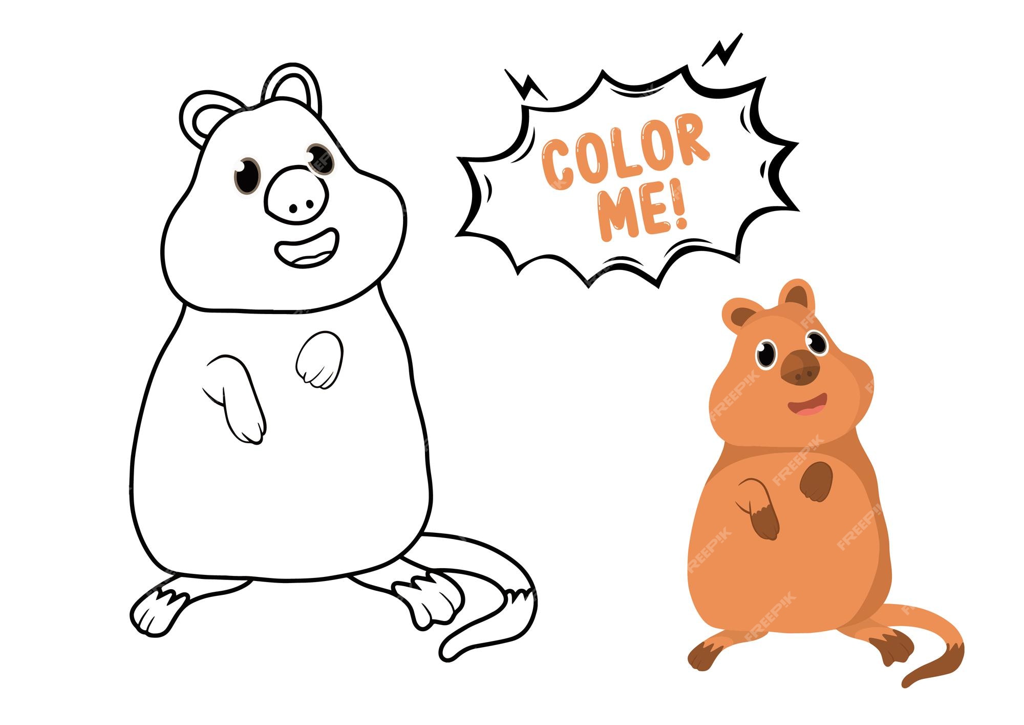 Premium vector childrens cute coloring book with quokka illustration