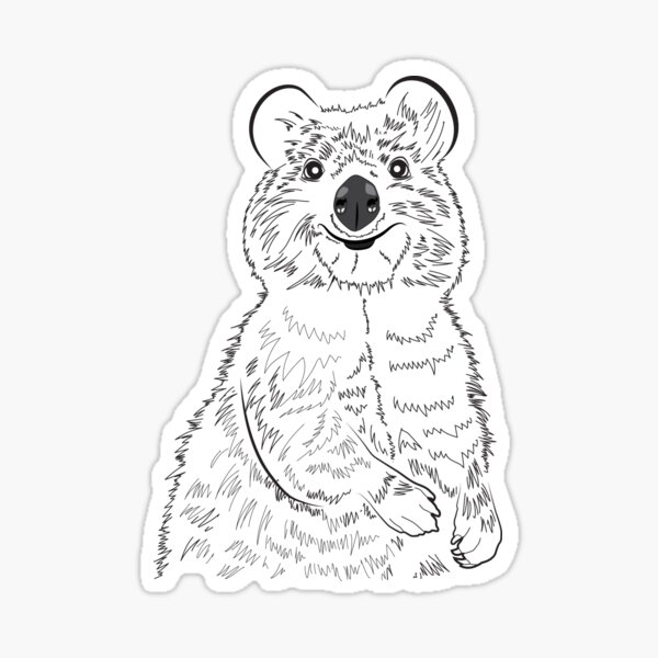 Sketchy the quokka sticker for sale by quokkaeveryhour