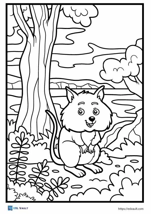 Free pdf australian animals coloring pages