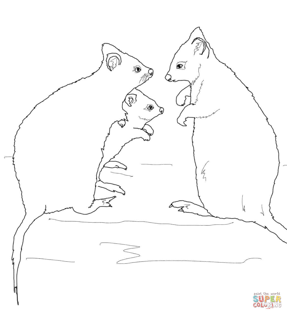 Quokka family coloring page free printable coloring pages